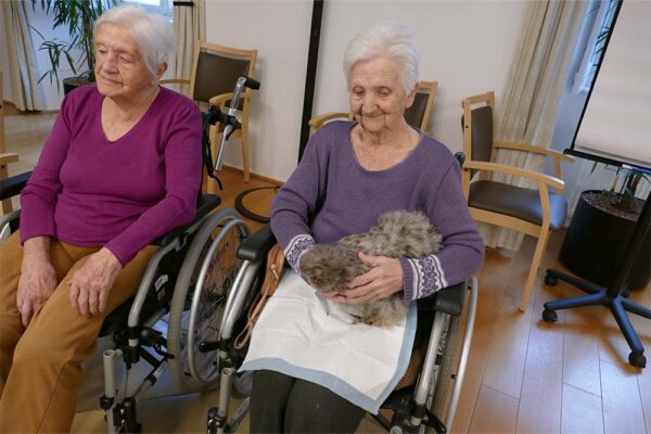 Malteser Ordenshaus Besuch Seidenhühner 07